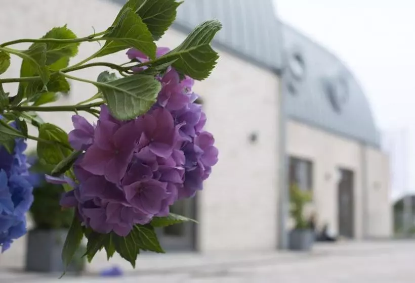 Hotelli Strand Am Königshafen