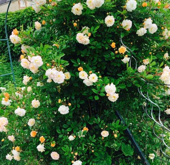 Bed and Breakfast Château De Briailles Chambre D Hôtes