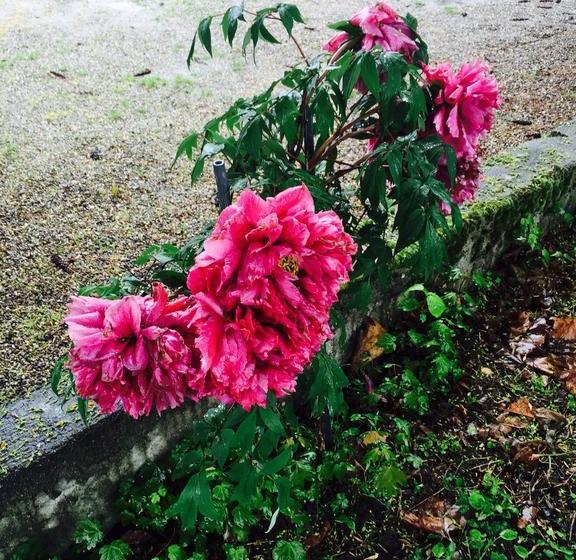 Bed and Breakfast Château De Briailles Chambre D Hôtes