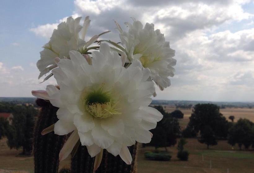 Bed and Breakfast Château De Briailles Chambre D Hôtes