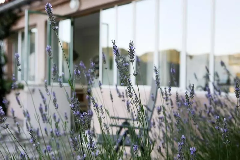 ベッドアンドブレックファースト Les Falaises