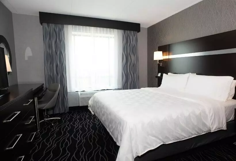 Holiday Inn Hotel & Suites   Joliet Southwest, An Ihg