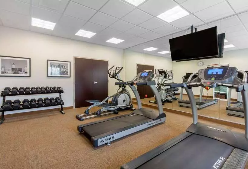 هتل Mainstay Suites St. Louis Airport