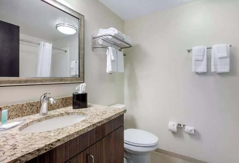 هتل Mainstay Suites St. Louis Airport