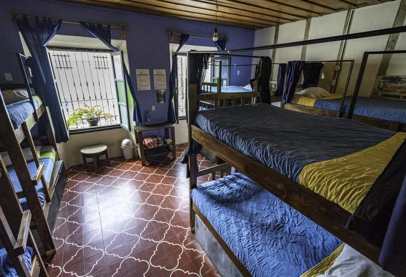 هاستل El Hostal Bnb Antigua