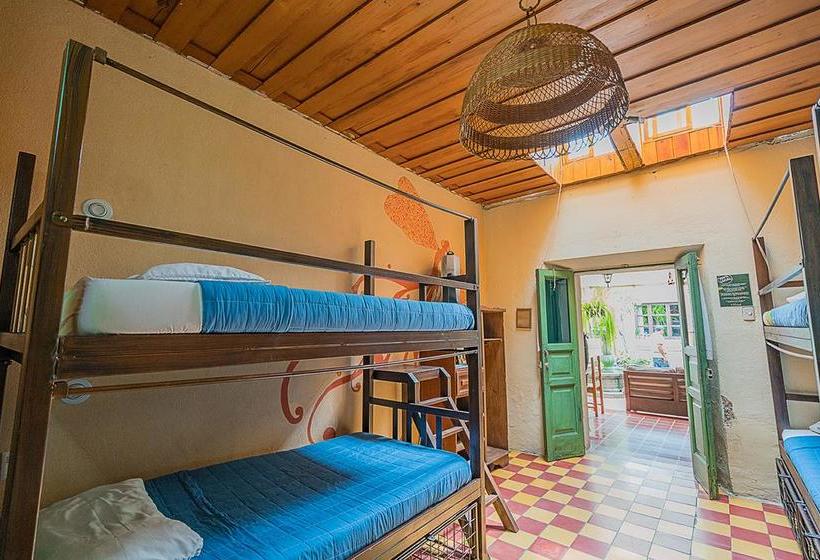 هاستل El Hostal Bnb Antigua