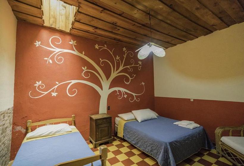 هاستل El Hostal Bnb Antigua