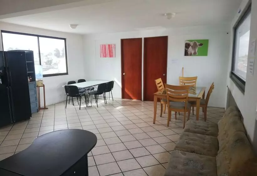 Avante   Hostel