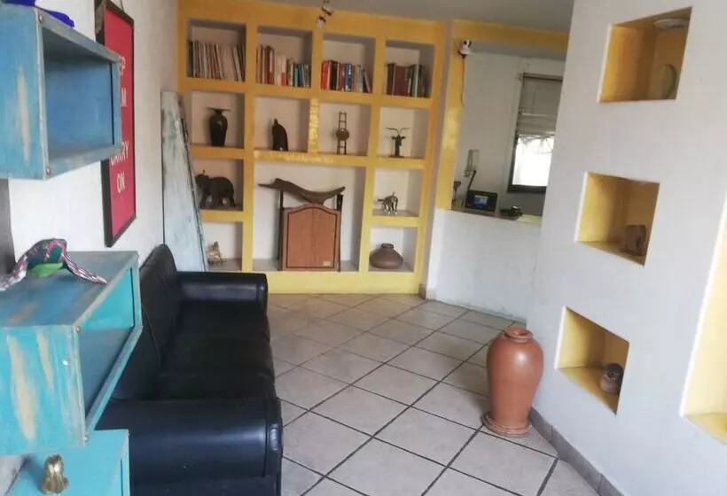 Avante   Hostel