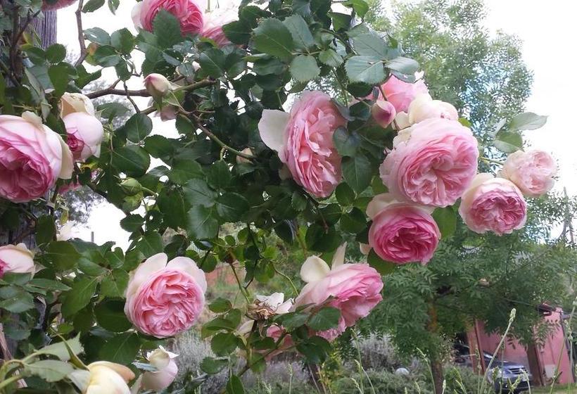 Bed and Breakfast Il Casale Alle Farine