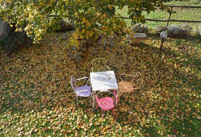 Bed and Breakfast Il Casale Alle Farine