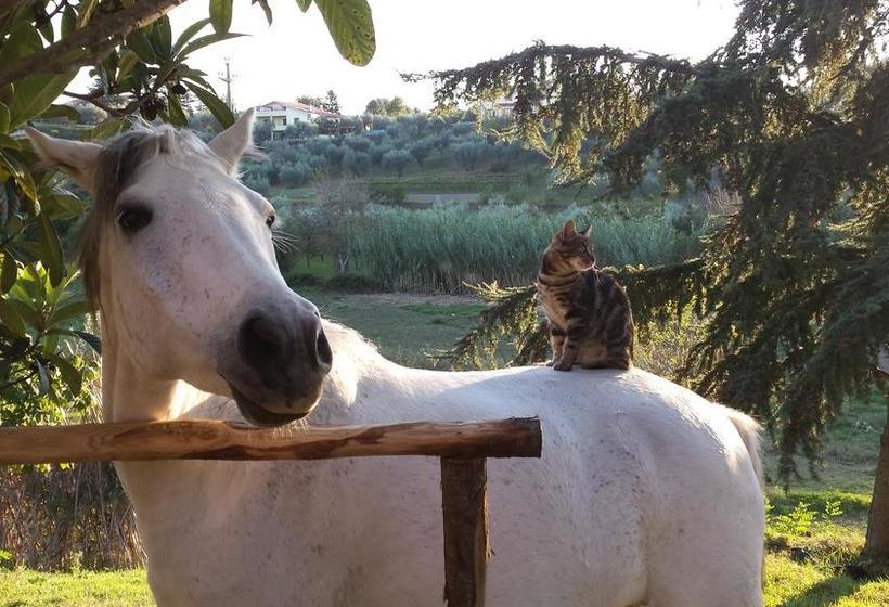 Bed and Breakfast Il Casale Alle Farine