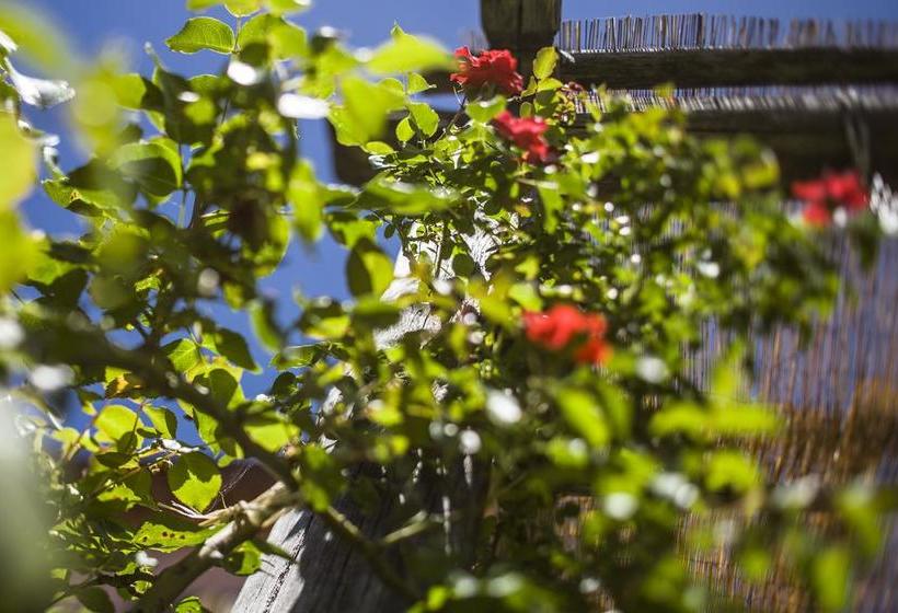 Bed and Breakfast Il Casale Alle Farine