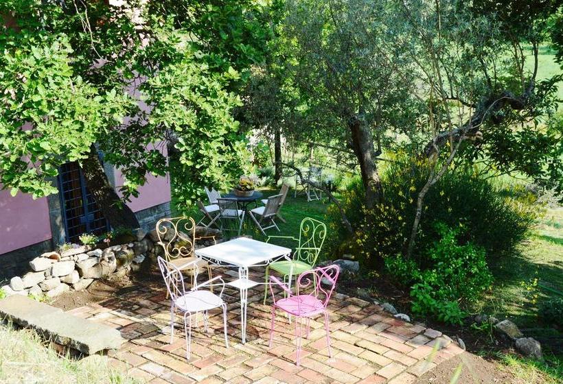 Bed and Breakfast Il Casale Alle Farine