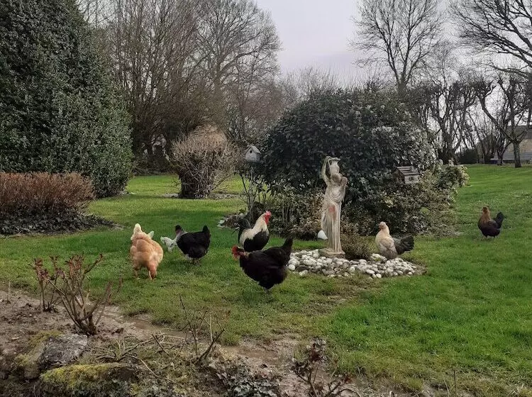 ベッドアンドブレックファースト 7 , Le Haut Montrayé