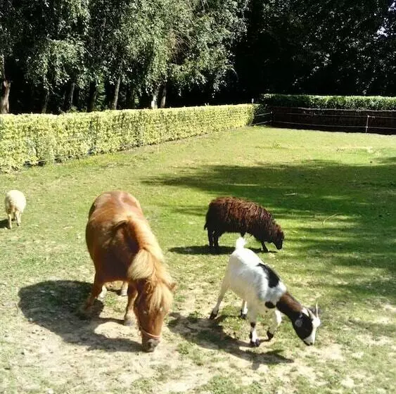 ベッドアンドブレックファースト 7 , Le Haut Montrayé