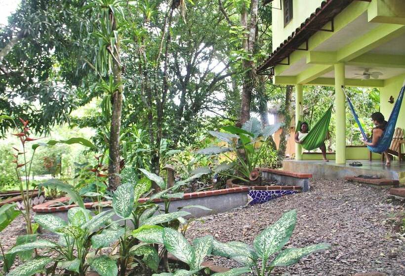 فندق La Buena Vida