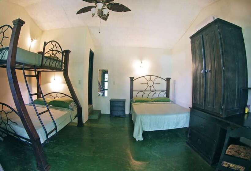 فندق La Buena Vida