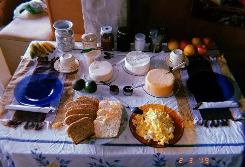 Orgânica Mente B&b