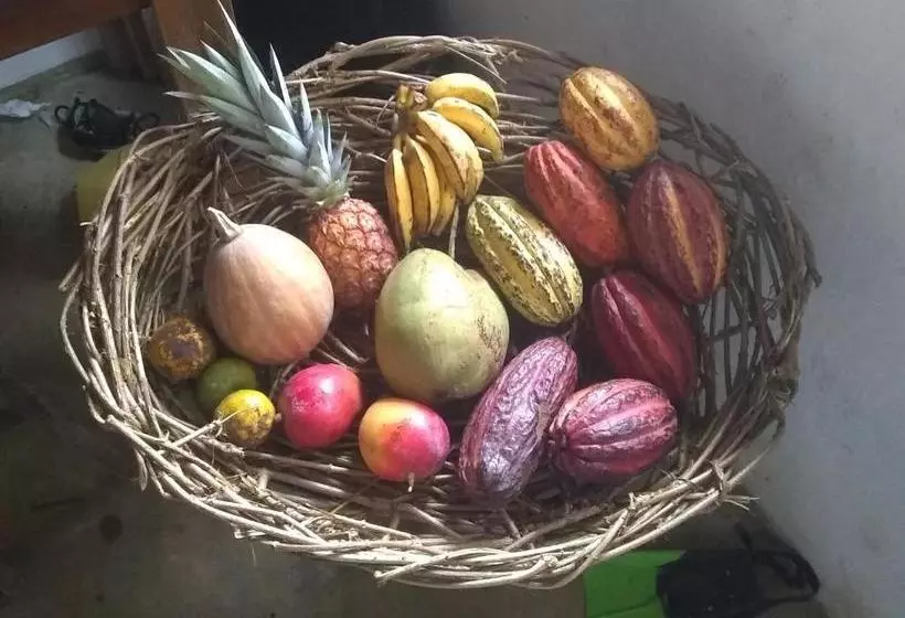 Orgânica Mente B&b