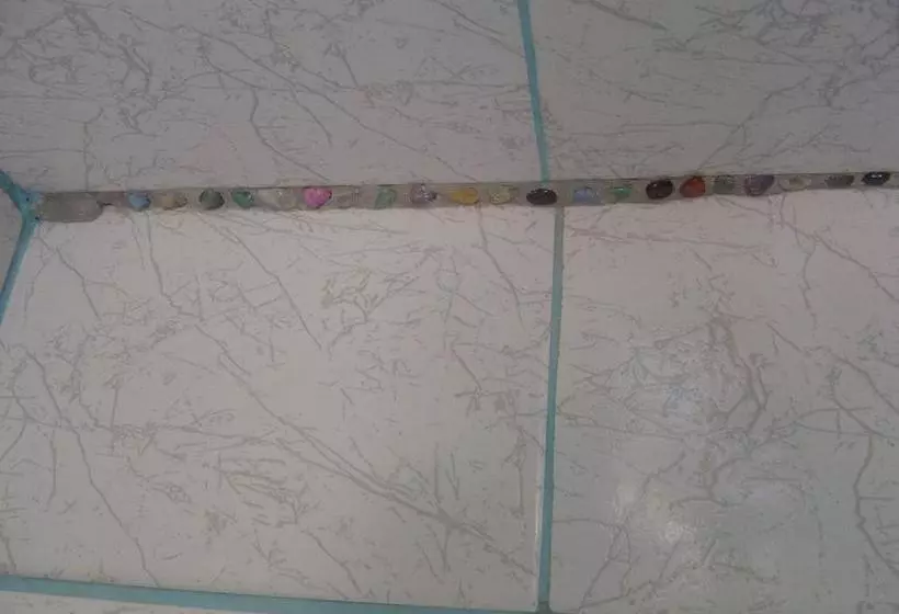 Orgânica Mente B&b