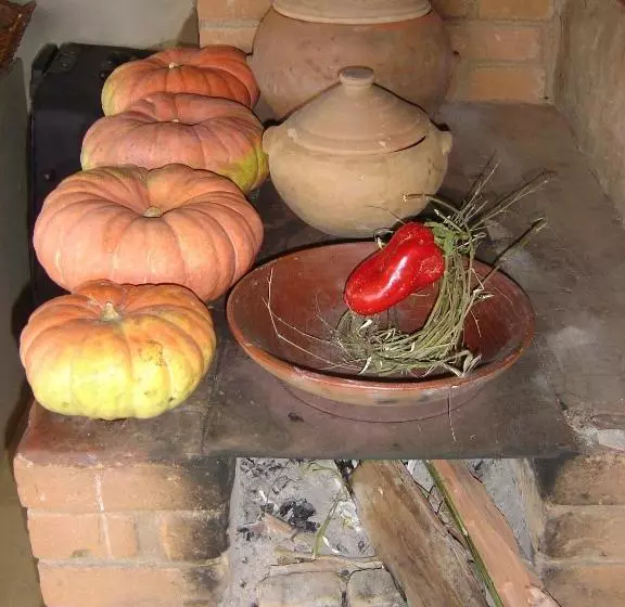 Orgânica Mente B&b