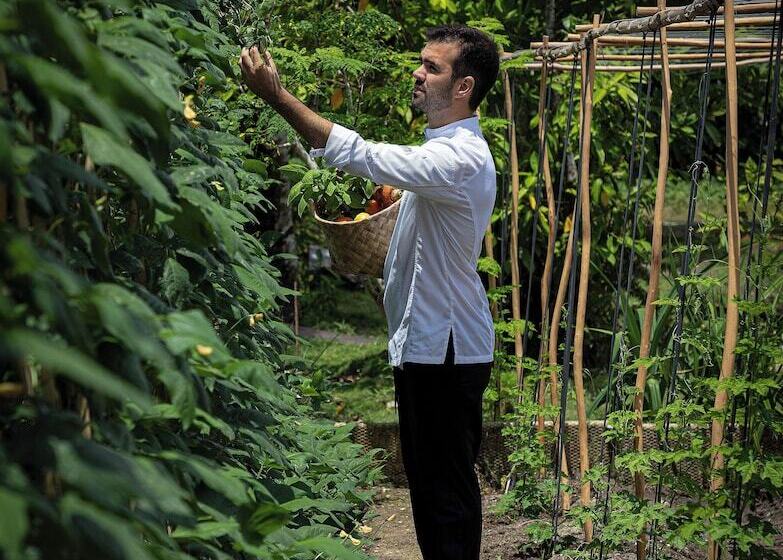 استراحتگاه Nay Palad Hideaway   All Inclusive