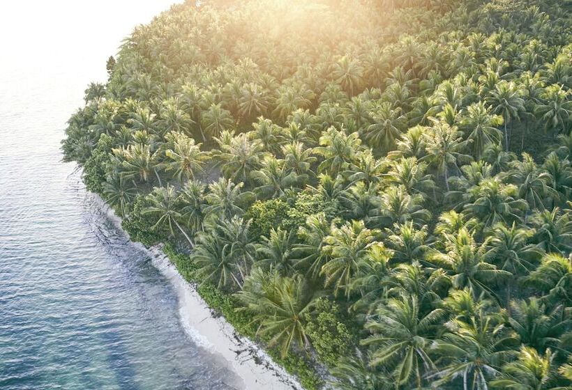 استراحتگاه Nay Palad Hideaway   All Inclusive