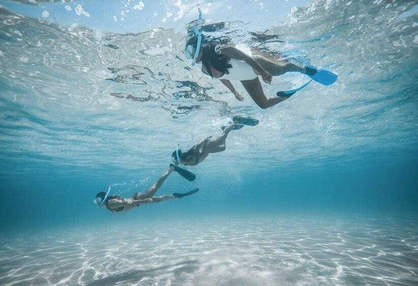 استراحتگاه Nay Palad Hideaway   All Inclusive