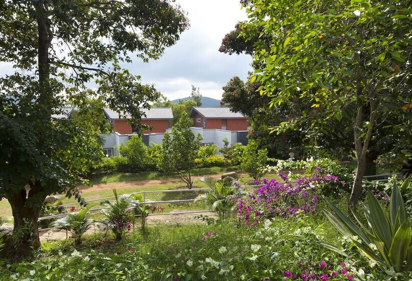 渡假胜地  Tgi Kairos