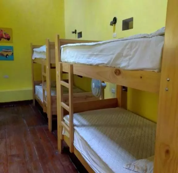 هاستل Wild Olive Guest House