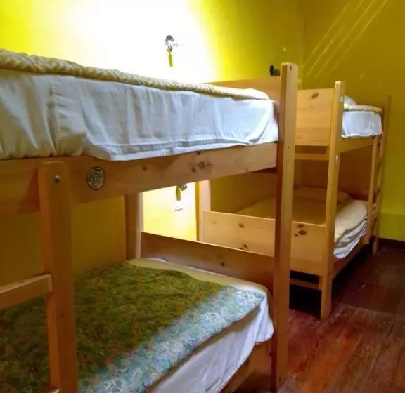 هاستل Wild Olive Guest House
