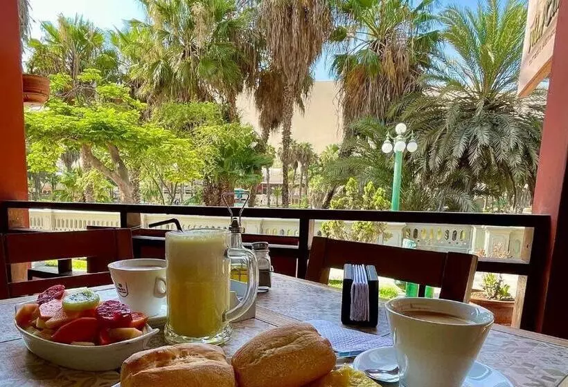 هاستل Wild Olive Guest House