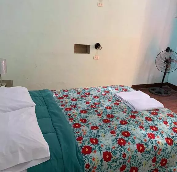 هاستل Wild Olive Guest House