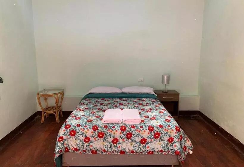 هاستل Wild Olive Guest House