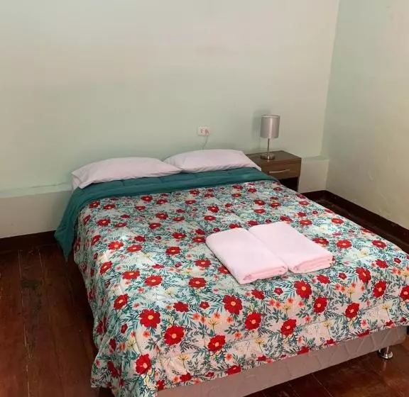 هاستل Wild Olive Guest House