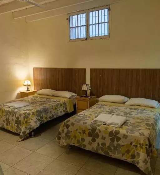 هاستل Wild Olive Guest House
