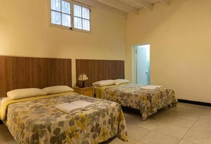 هاستل Wild Olive Guest House