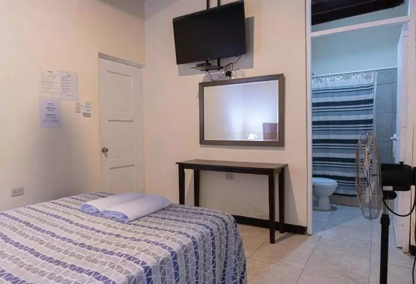 هاستل Wild Olive Guest House