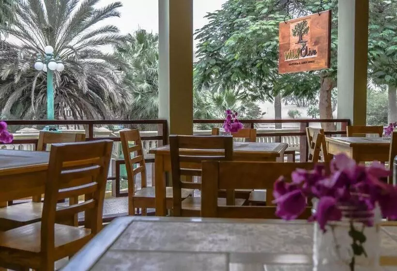 هاستل Wild Olive Guest House