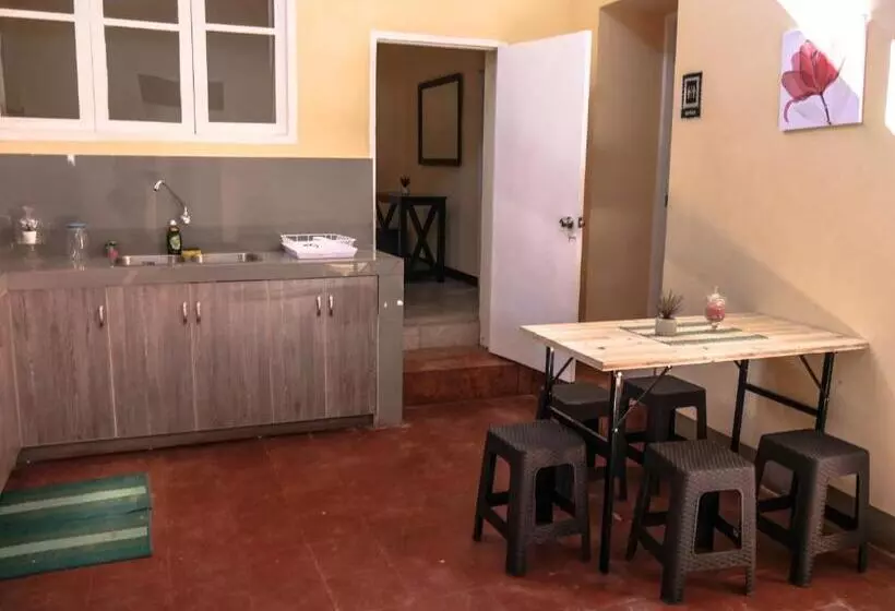 هاستل Wild Olive Guest House