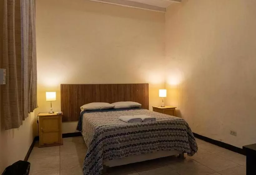 هاستل Wild Olive Guest House