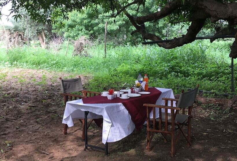 Castle Narela Lake Resort