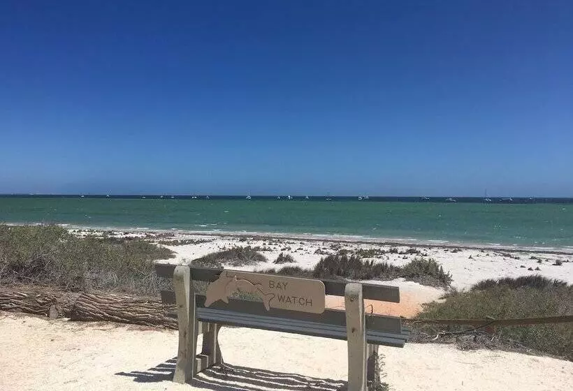 استراحتگاه Tasman Holiday Parks   Denham Seaside