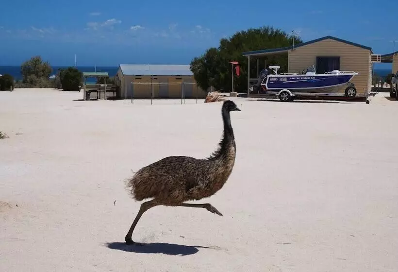 استراحتگاه Tasman Holiday Parks   Denham Seaside