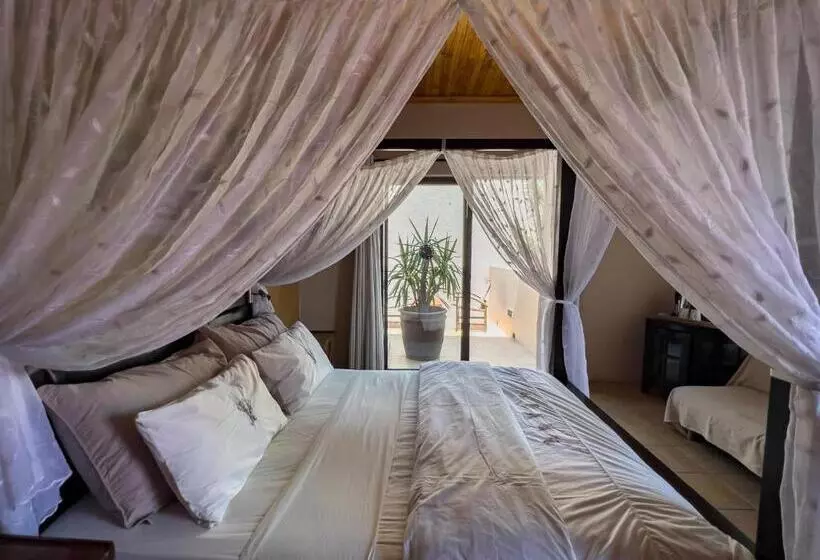 هاستل Chameleon Backpackers & Guesthouse