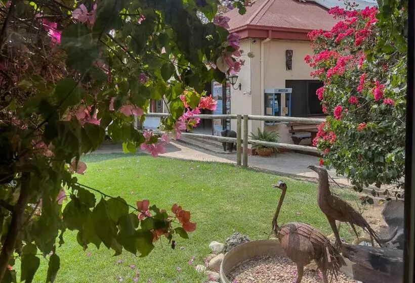 هاستل Chameleon Backpackers & Guesthouse