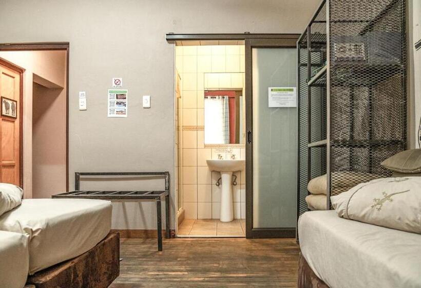 هاستل Chameleon Backpackers & Guesthouse