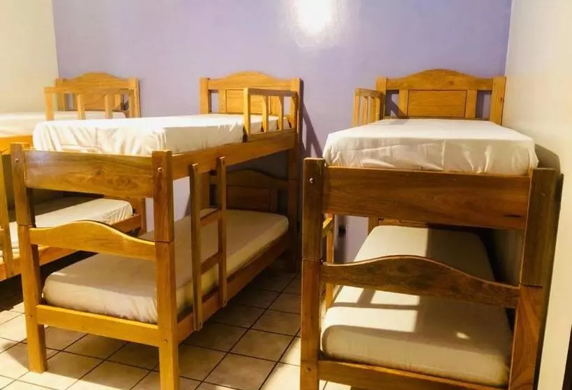 Dom Alberto Hostel