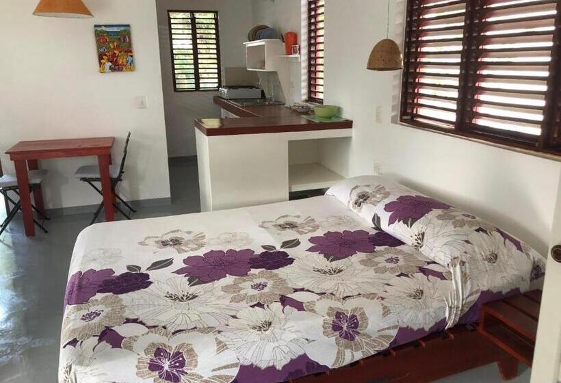 هتل Casa Robinson